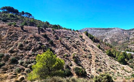 alte muelldeponie calpe mascarat foto